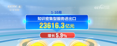 <strong>前10月中国办事商</strong>