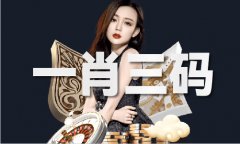 四九论坛网址是什